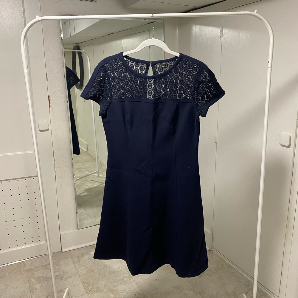 Ann Taylor : Size 8